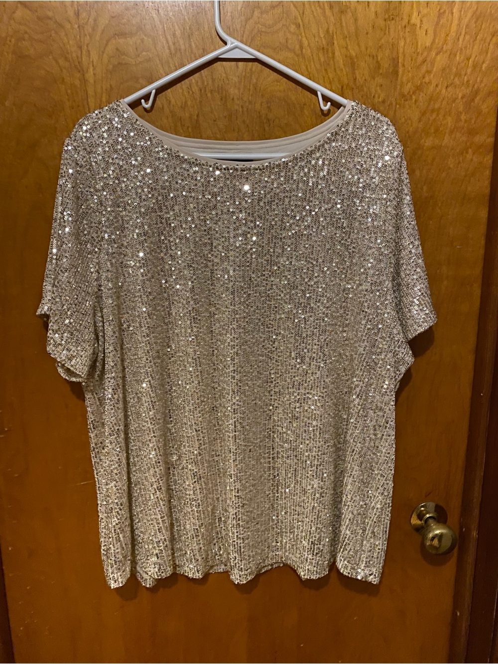 Studio Y Sparkle Sequin Short Sleeve Top in Champagne Silver